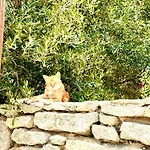 Callisso Mykonos *
